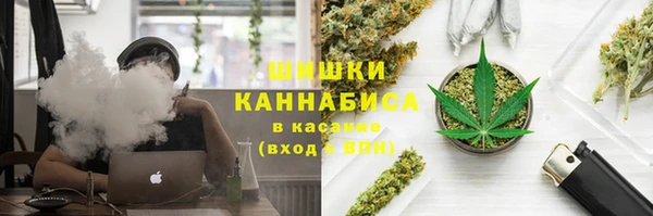 тгк Аркадак