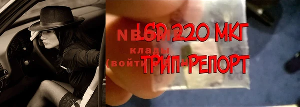 трава Арсеньев