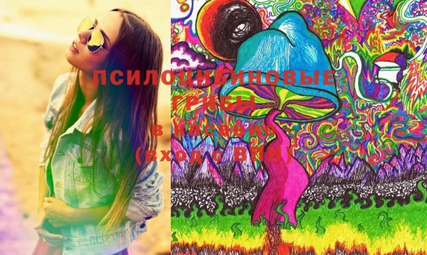 молекула духа Алексеевка