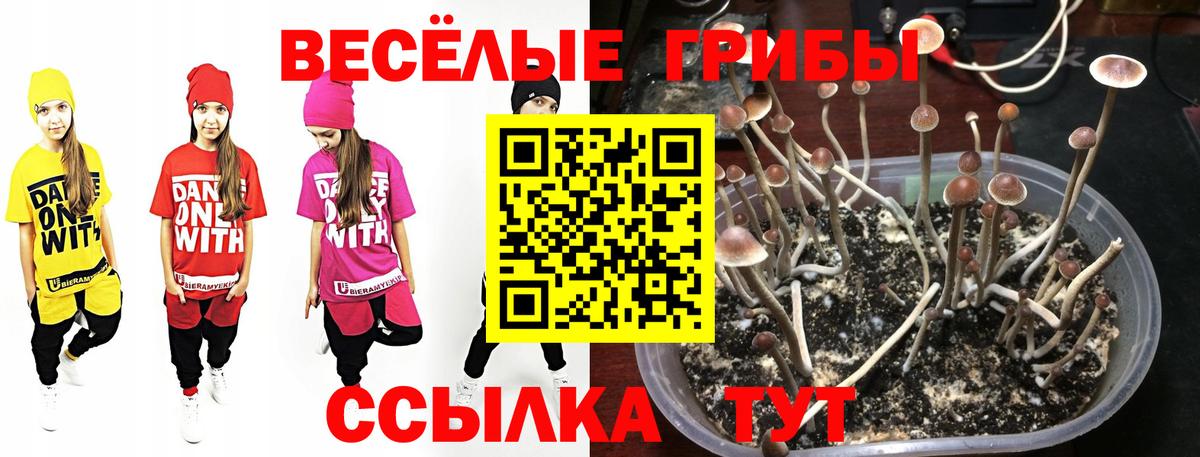 Псилоцибиновые грибы прущие грибы  Вход с VPN  Белебей 